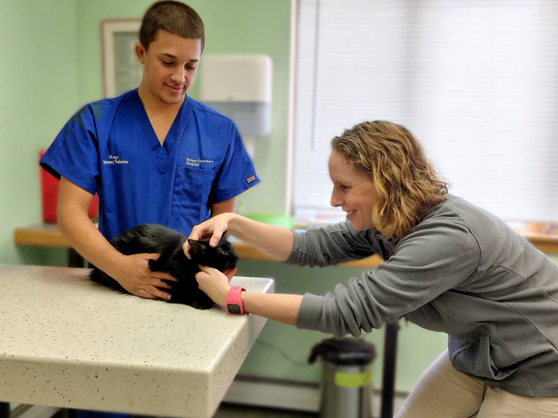 Veterinario General Pratcice: un día en la vida de un veterinario