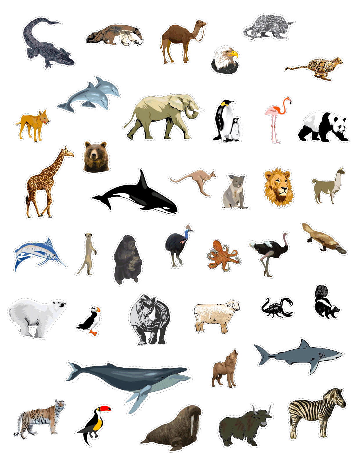 ¿Puedes nombrar estos 40 animales en cinco minutos? 🐅 🐫 🐑 🐢 🐋 Prueba