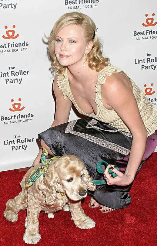 13 celebridades y sus adorables cachorros adoptados