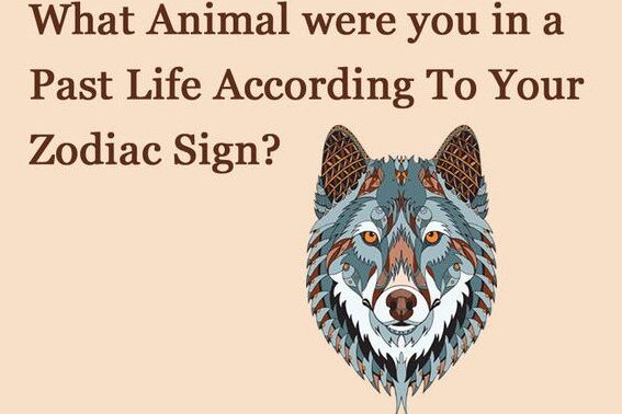 ¿Qué animal fuiste en tu vida pasada según tu signo del zodíaco?