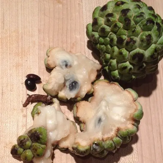 Prueba de nombres de frutas poco comunes 🍑🍋🍆