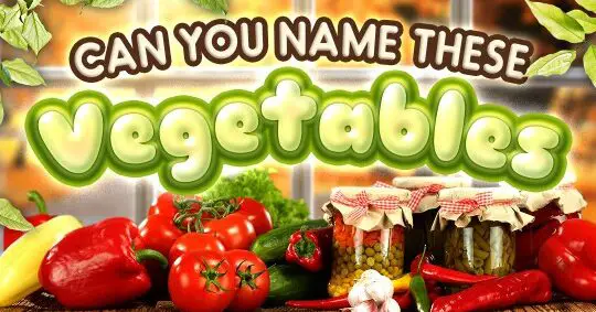 ¿Puedes nombrar estas verduras?