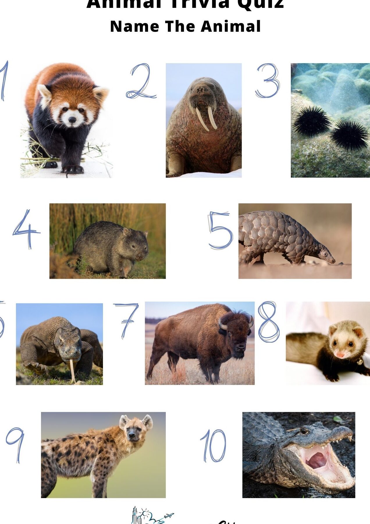 50 preguntas de trivia sobre animales para poner a prueba tus conocimientos: Guía 2024