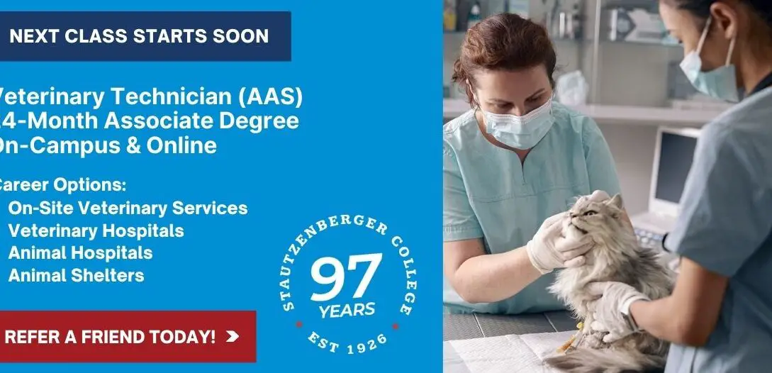 Técnico veterinario asociado - Vet Tech |