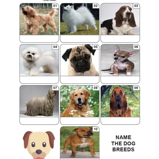 Mini cuestionario con imágenes sobre razas de perros - Z3919